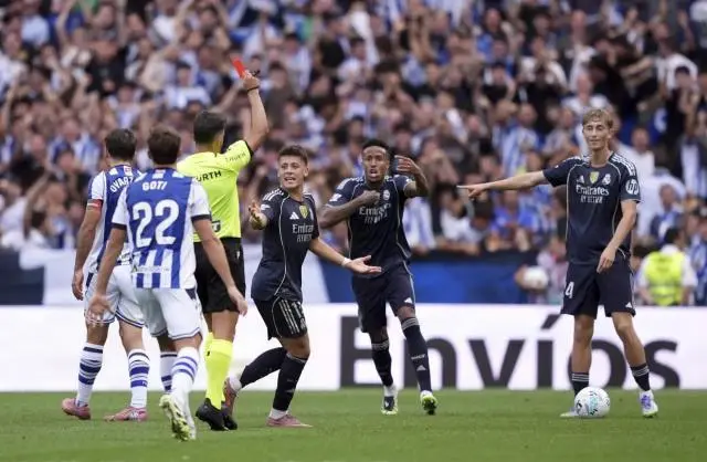 entit, 维护主裁判 entit, 维护主裁判