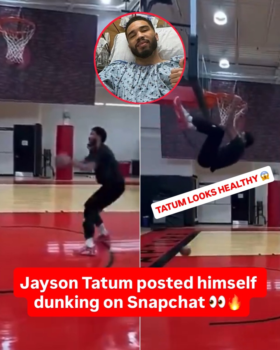 自己扣篮的, com, 图姆能否在 自己扣篮的, com, 图姆能否在