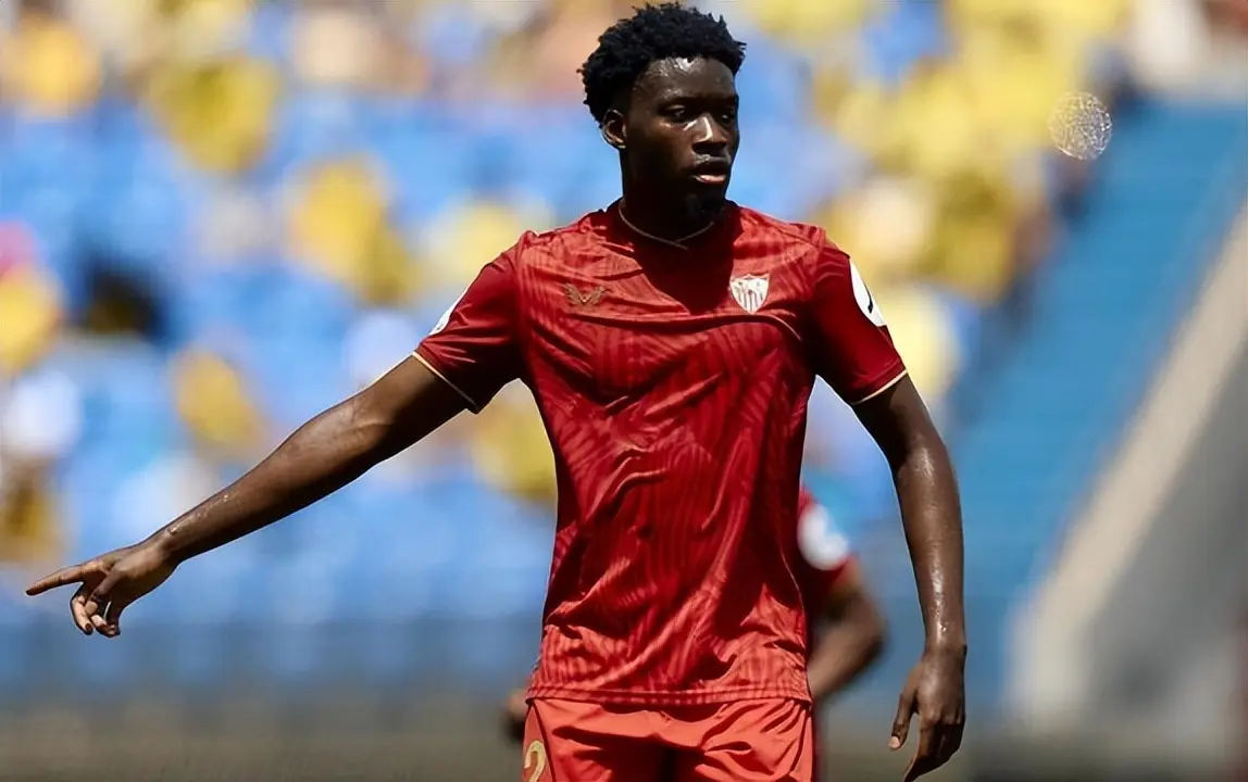 巴西老将卡 巴西老将卡